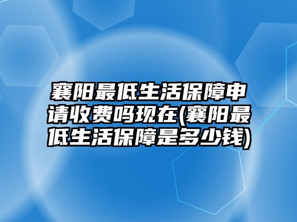 襄陽最低生活保障申請收費嗎現在(襄陽最低生活保障是多少錢)