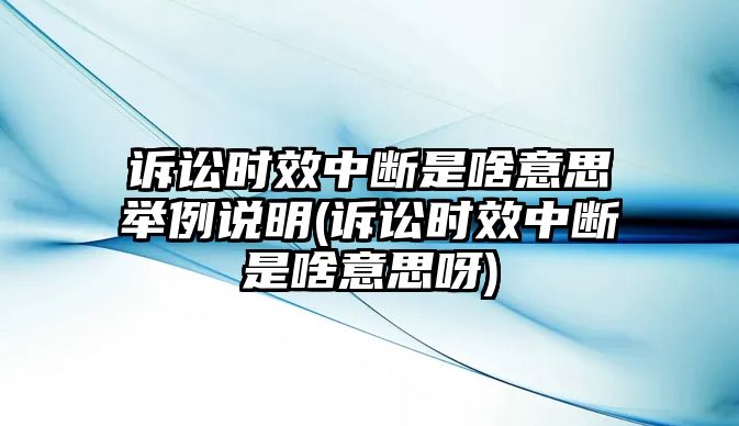 訴訟時效中斷是啥意思舉例說明(訴訟時效中斷是啥意思呀)