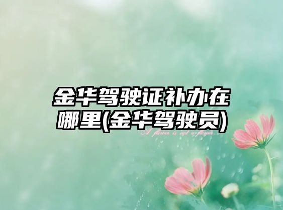 金華駕駛證補辦在哪里(金華駕駛員)