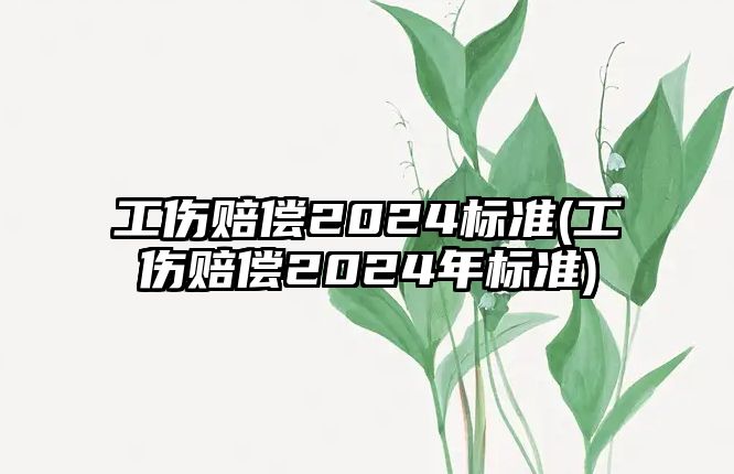 工傷賠償2024標準(工傷賠償2024年標準)