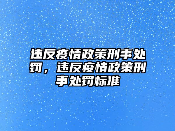 違反疫情政策刑事處罰，違反疫情政策刑事處罰標準