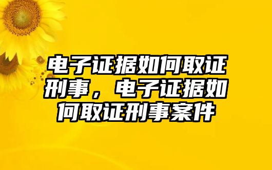 電子證據如何取證刑事，電子證據如何取證刑事案件