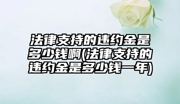 法律支持的違約金是多少錢啊(法律支持的違約金是多少錢一年)