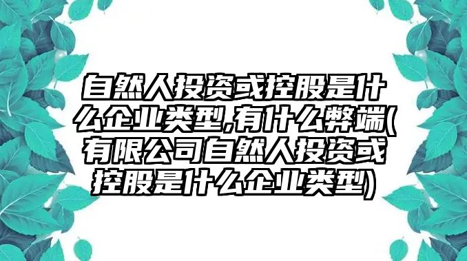 自然人投資或控股是什么企業(yè)類型,有什么弊端(有限公司自然人投資或控股是什么企業(yè)類型)