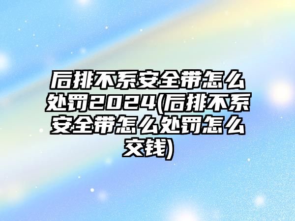 后排不系安全帶怎么處罰2024(后排不系安全帶怎么處罰怎么交錢)