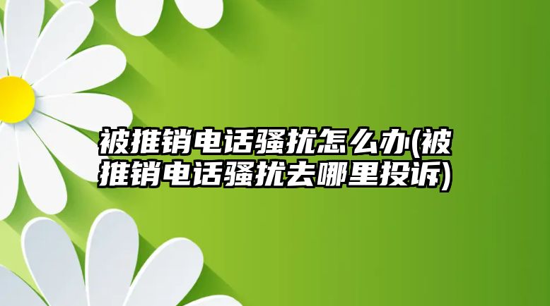 被推銷電話騷擾怎么辦(被推銷電話騷擾去哪里投訴)