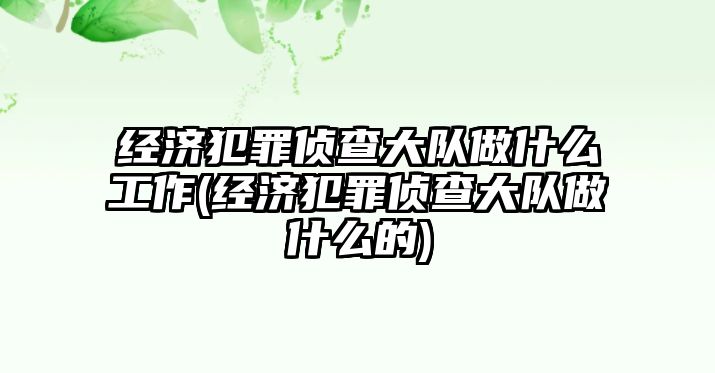 經濟犯罪偵查大隊做什么工作(經濟犯罪偵查大隊做什么的)