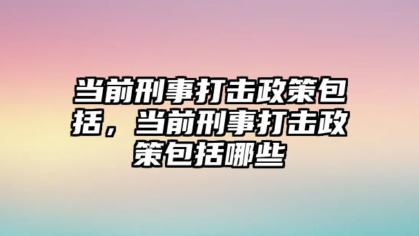 當前刑事打擊政策包括，當前刑事打擊政策包括哪些