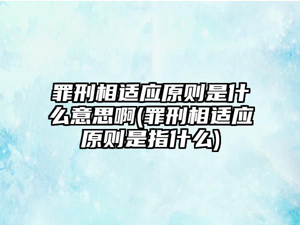 罪刑相適應(yīng)原則是什么意思啊(罪刑相適應(yīng)原則是指什么)