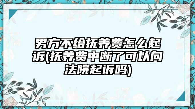 男方不給撫養費怎么起訴(撫養費中斷了可以向法院起訴嗎)