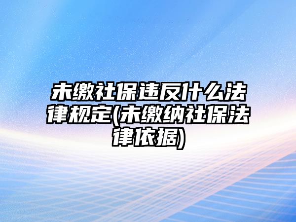 未繳社保違反什么法律規(guī)定(未繳納社保法律依據(jù))