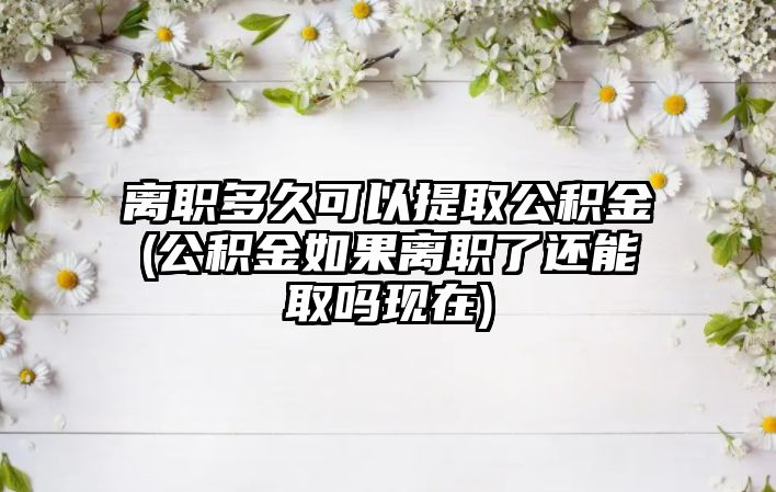 離職多久可以提取公積金(公積金如果離職了還能取嗎現(xiàn)在)