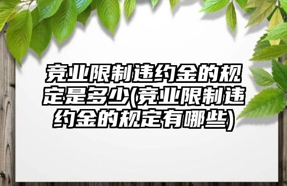 競業(yè)限制違約金的規(guī)定是多少(競業(yè)限制違約金的規(guī)定有哪些)