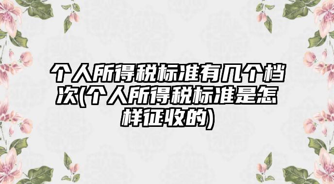 個人所得稅標準有幾個檔次(個人所得稅標準是怎樣征收的)