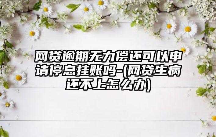 網貸逾期無力償還可以申請停息掛賬嗎-(網貸生病還不上怎么辦)