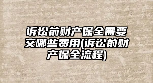 訴訟前財產保全需要交哪些費用(訴訟前財產保全流程)