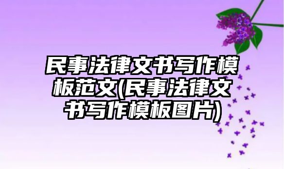 民事法律文書寫作模板范文(民事法律文書寫作模板圖片)