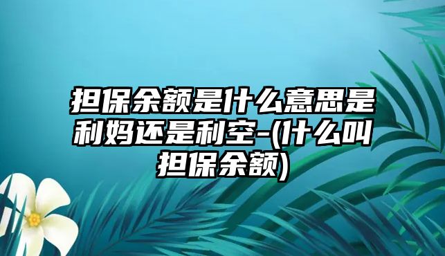 擔保余額是什么意思是利媽還是利空-(什么叫擔保余額)