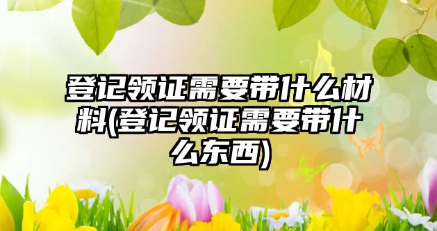 登記領(lǐng)證需要帶什么材料(登記領(lǐng)證需要帶什么東西)