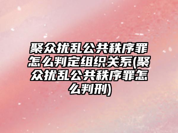 聚眾擾亂公共秩序罪怎么判定組織關系(聚眾擾亂公共秩序罪怎么判刑)