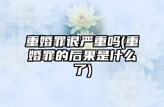 重婚罪很嚴(yán)重嗎(重婚罪的后果是什么了)