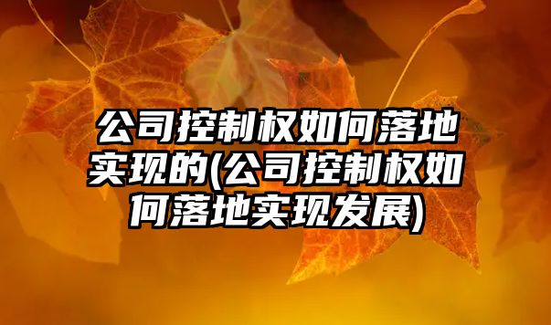 公司控制權如何落地實現的(公司控制權如何落地實現發展)