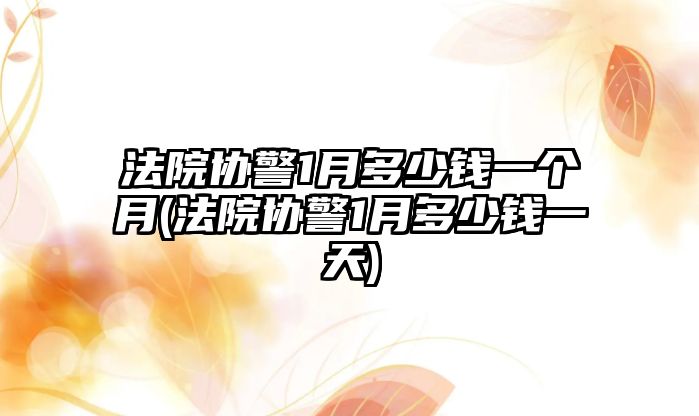 法院協(xié)警1月多少錢(qián)一個(gè)月(法院協(xié)警1月多少錢(qián)一天)