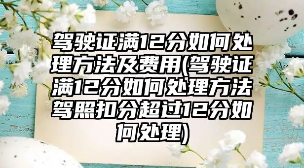 駕駛證滿12分如何處理方法及費用(駕駛證滿12分如何處理方法駕照扣分超過12分如何處理)