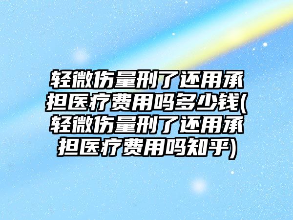 輕微傷量刑了還用承擔醫療費用嗎多少錢(輕微傷量刑了還用承擔醫療費用嗎知乎)