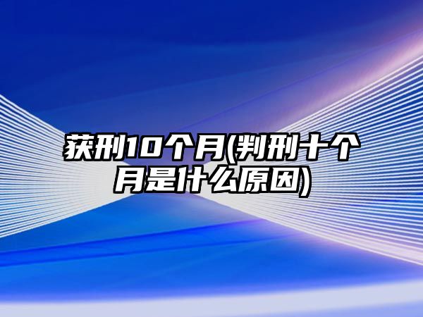 獲刑10個(gè)月(判刑十個(gè)月是什么原因)