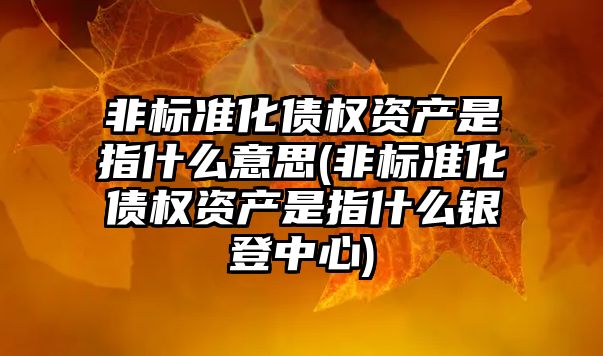 非標準化債權資產是指什么意思(非標準化債權資產是指什么銀登中心)