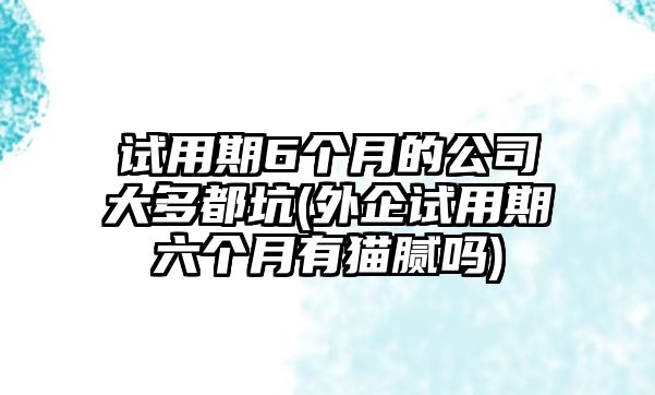 試用期6個月的公司大多都坑(外企試用期六個月有貓膩嗎)