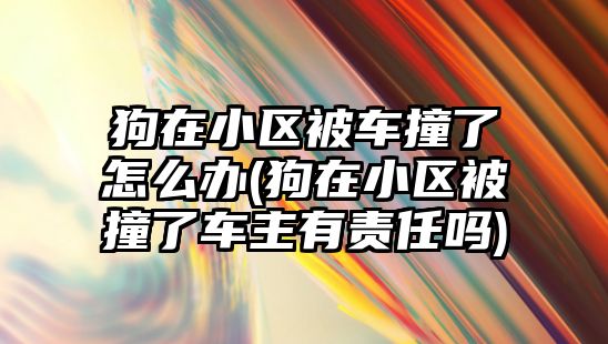 狗在小區(qū)被車撞了怎么辦(狗在小區(qū)被撞了車主有責(zé)任嗎)