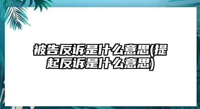 被告反訴是什么意思(提起反訴是什么意思)