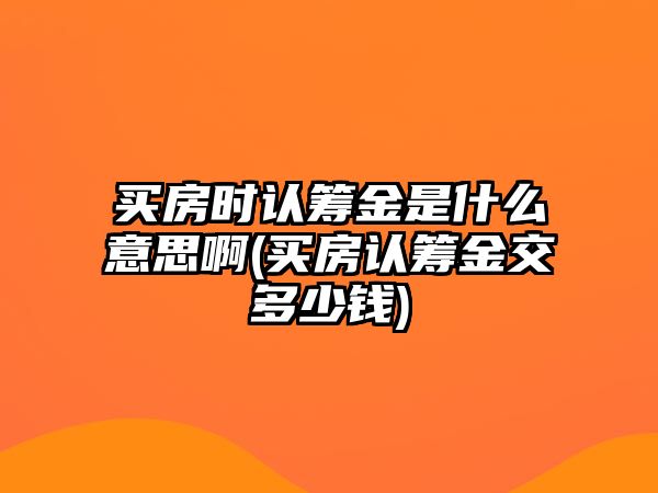 買房時(shí)認(rèn)籌金是什么意思啊(買房認(rèn)籌金交多少錢)