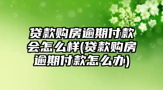 貸款購(gòu)房逾期付款會(huì)怎么樣(貸款購(gòu)房逾期付款怎么辦)