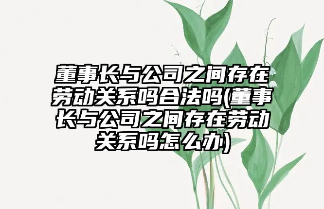 董事長與公司之間存在勞動關系嗎合法嗎(董事長與公司之間存在勞動關系嗎怎么辦)