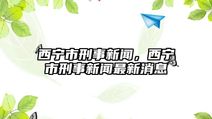 西寧市刑事新聞，西寧市刑事新聞最新消息