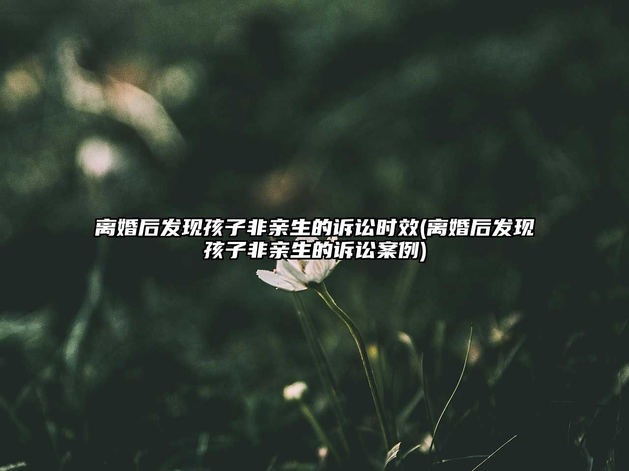 離婚后發(fā)現(xiàn)孩子非親生的訴訟時效(離婚后發(fā)現(xiàn)孩子非親生的訴訟案例)