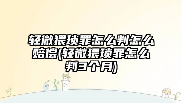 輕微猥瑣罪怎么判怎么賠償(輕微猥瑣罪怎么判3個月)