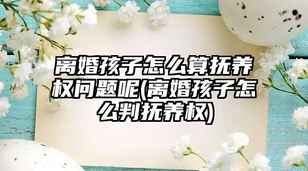 離婚孩子怎么算撫養(yǎng)權問題呢(離婚孩子怎么判撫養(yǎng)權)