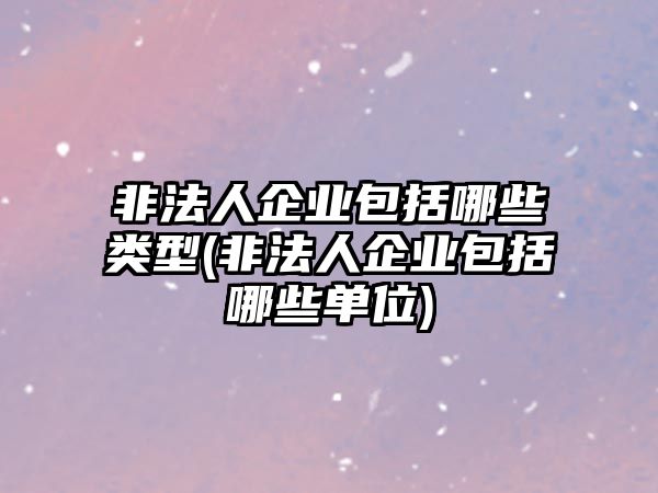 非法人企業(yè)包括哪些類型(非法人企業(yè)包括哪些單位)