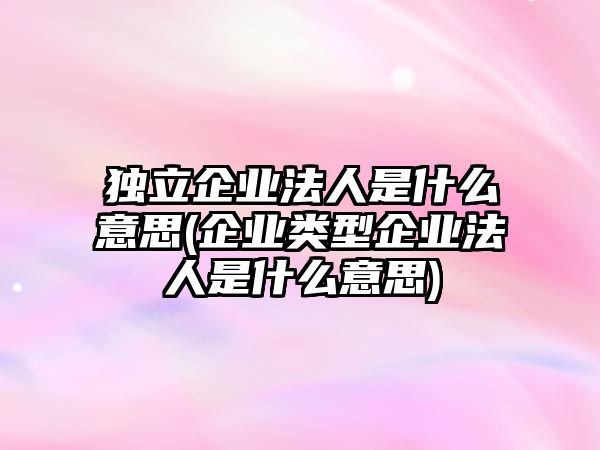 獨立企業法人是什么意思(企業類型企業法人是什么意思)