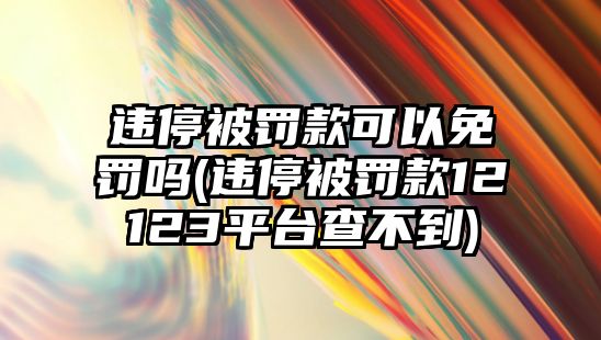 違停被罰款可以免罰嗎(違停被罰款12123平臺(tái)查不到)