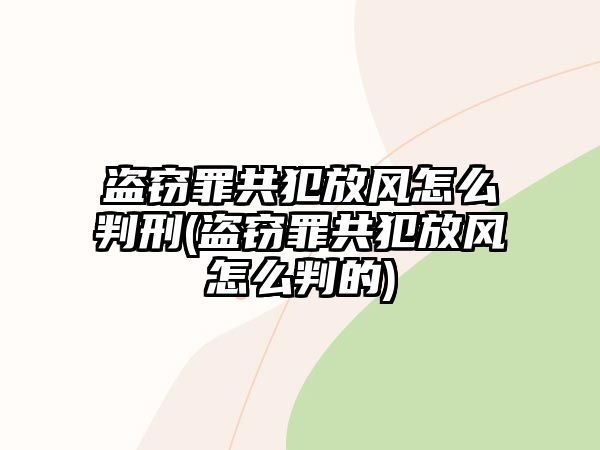 盜竊罪共犯放風(fēng)怎么判刑(盜竊罪共犯放風(fēng)怎么判的)