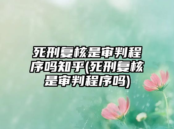 死刑復核是審判程序嗎知乎(死刑復核是審判程序嗎)