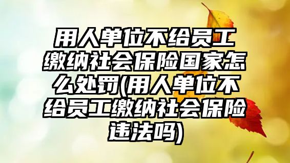 用人單位不給員工繳納社會保險國家怎么處罰(用人單位不給員工繳納社會保險違法嗎)