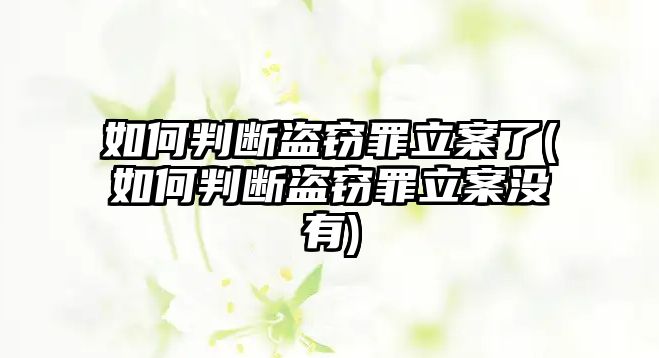 如何判斷盜竊罪立案了(如何判斷盜竊罪立案沒有)