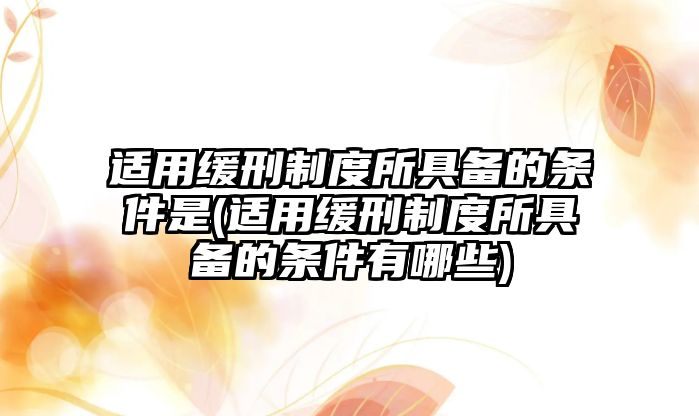 適用緩刑制度所具備的條件是(適用緩刑制度所具備的條件有哪些)