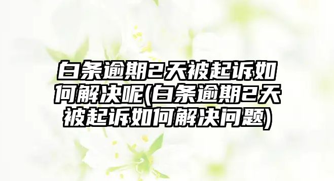 白條逾期2天被起訴如何解決呢(白條逾期2天被起訴如何解決問題)